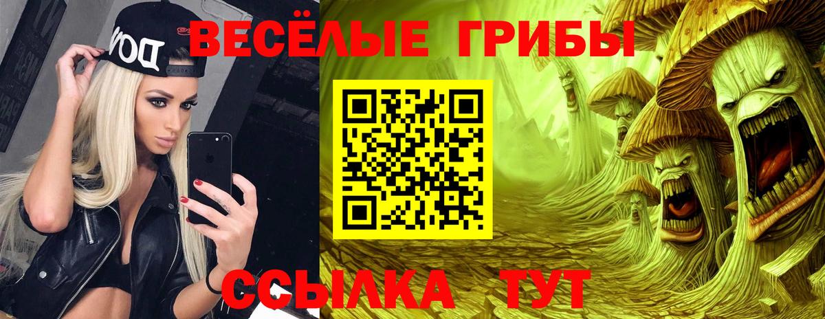 магазин продажи   Вход с VPN  Псилоцибиновые грибы MAGIC MUSHROOMS  Серов  Галлюциногенные грибы мицелий 